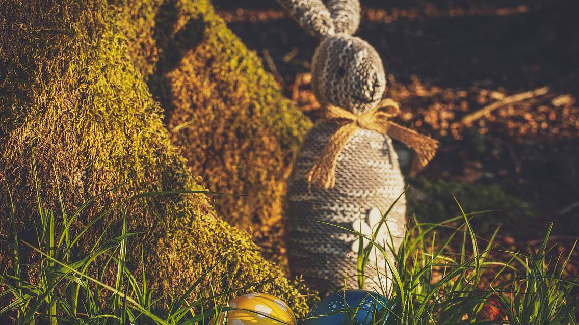 Osterschatzsuche: Naturerkundung